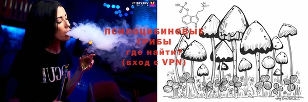 мяу мяу кристалл Богданович