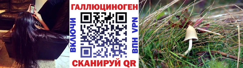 Псилоцибиновые грибы ЛСД  Туринск 